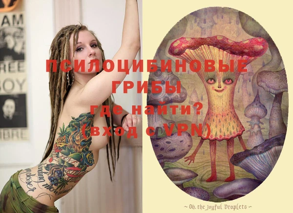 шишки Карталы