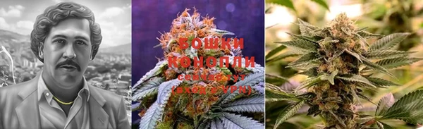 марки lsd Каменка