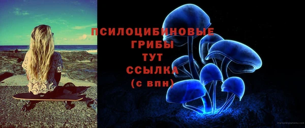 круглые Каменногорск