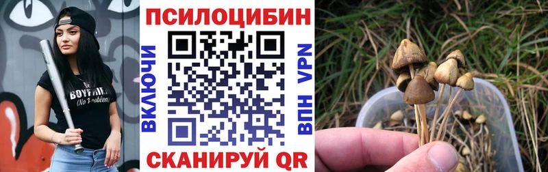 Галлюциногенные грибы Psilocybine cubensis  Купить закладки  Касли 
